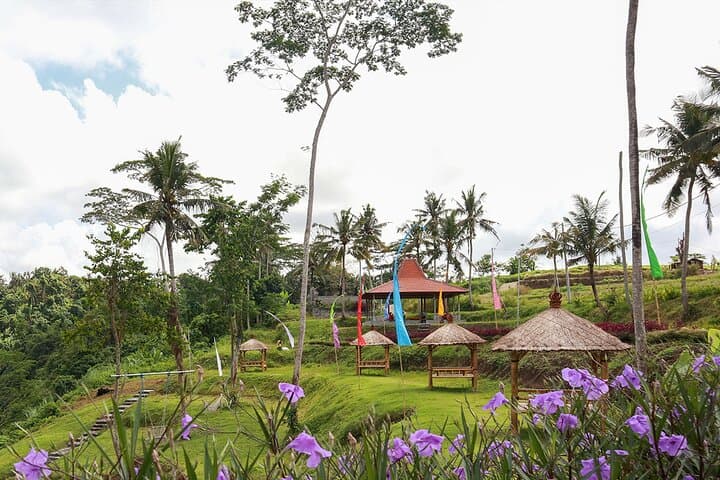 Melangit River Kayaking in Bali — Half-Day Adventure with Lunch & Private Transfer photo 5