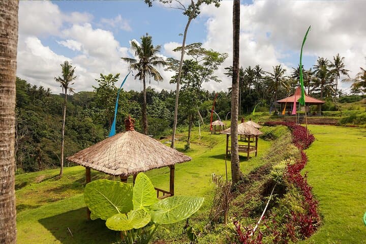 Melangit River Kayaking in Bali — Half-Day Adventure with Lunch & Private Transfer photo 6
