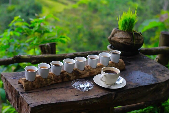 Ubud Nature Private Tour: Rice Terraces, Waterfalls & Sacred Temples (6h) photo 5
