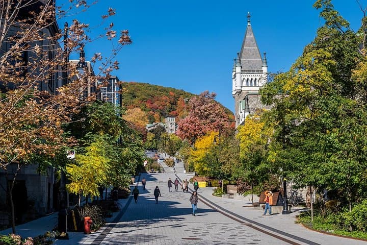 Private Full-Day Shore Tour in Montreal: Old Montreal, Mount Royal & Saint Joseph's Oratory photo 2