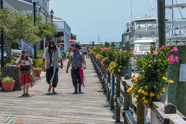 Private Crystal Coast Sightseeing: 8-Hour Custom Tour from Morehead City photo 4