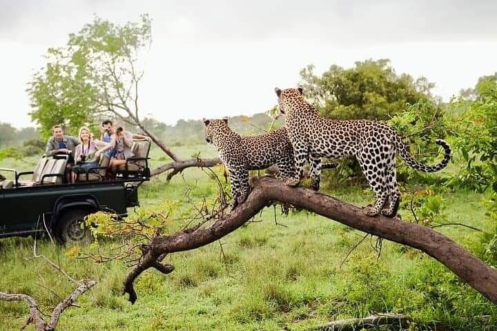 8-Day Private Guided Tour Sri Lanka — Sigiriya, Kandy, Ella, Yala & Mirissa photo 6