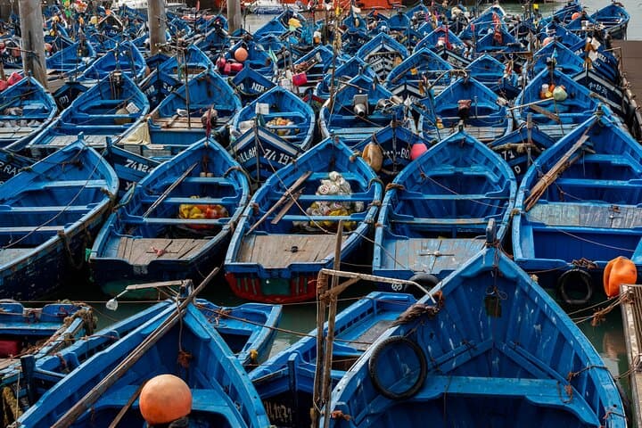 Essaouira Day Trip from Marrakech: Coastal Medina, Skala Views & Fresh Seafood photo 3