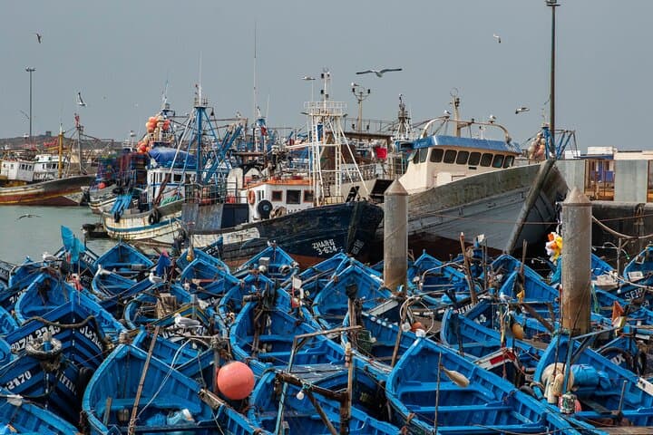 Essaouira Day Trip from Marrakech: Coastal Medina, Skala Views & Fresh Seafood photo 4