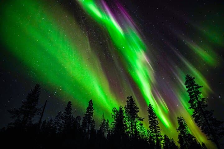 Family-Friendly Northern Lights Adventure from Rovaniemi — Aurora Chase & Tipi Campfire photo 1