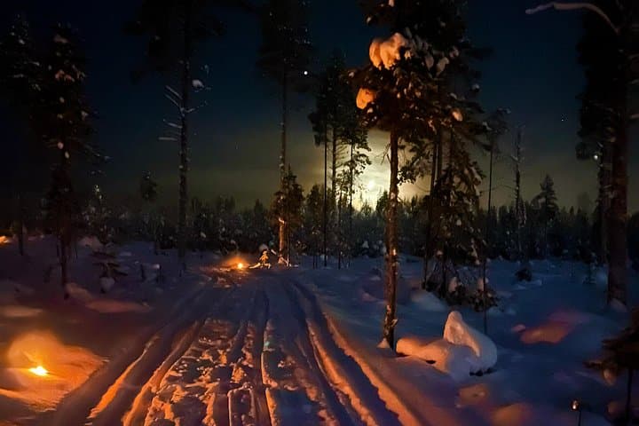 Moonlit Finnhorse Ride in Rovaniemi — Nighttime Forest Horseback Adventure photo 1