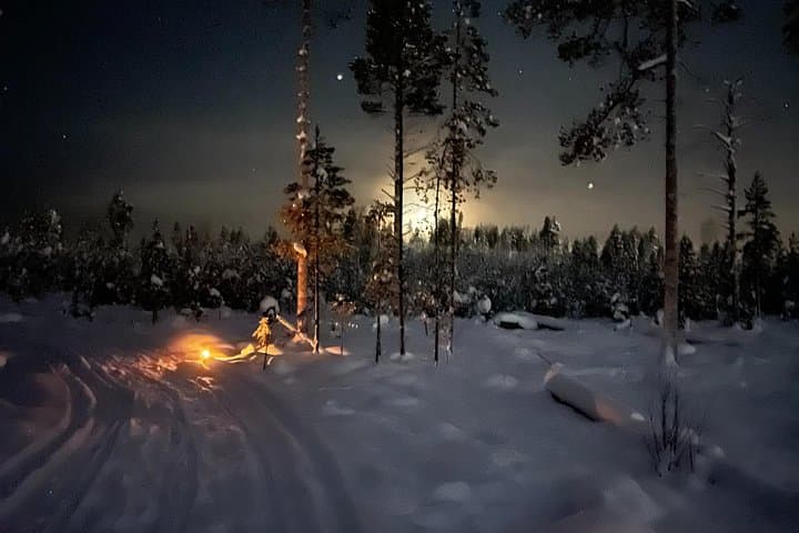 Moonlit Finnhorse Ride in Rovaniemi — Nighttime Forest Horseback Adventure photo 2