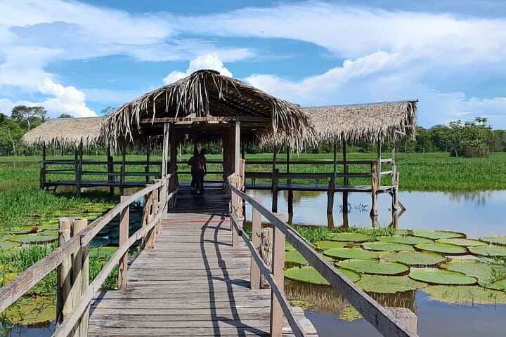 Meeting of the Waters & Janauary Lake: Private Speedboat Tour from Manaus