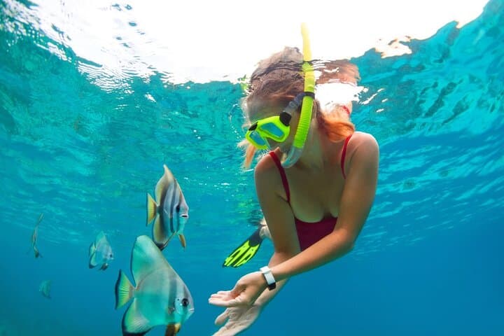 Puerto Maya Jungle Tour — Snorkel, Speedboat & Mayan Ceremony in Cancun photo 2