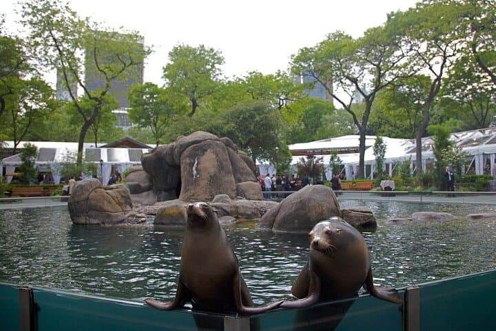 Central Park Wonders and Secrets: Guided Shared Walking Tour photo 5