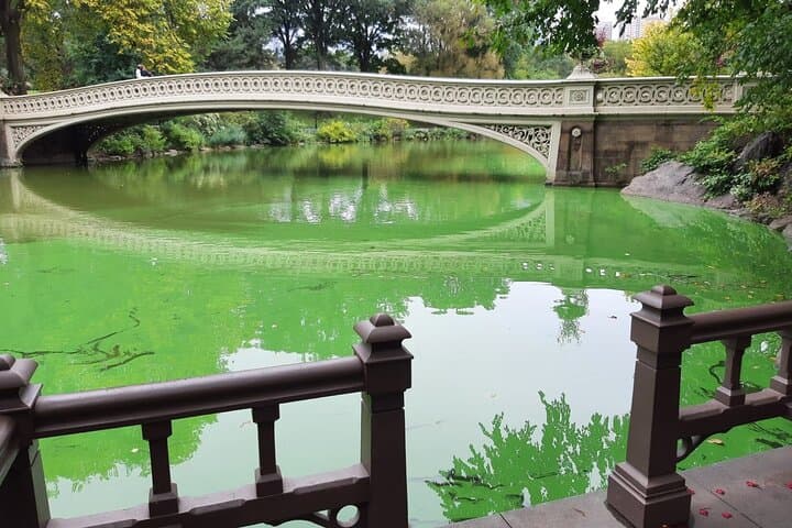 Central Park Wonders and Secrets: Guided Shared Walking Tour photo 6
