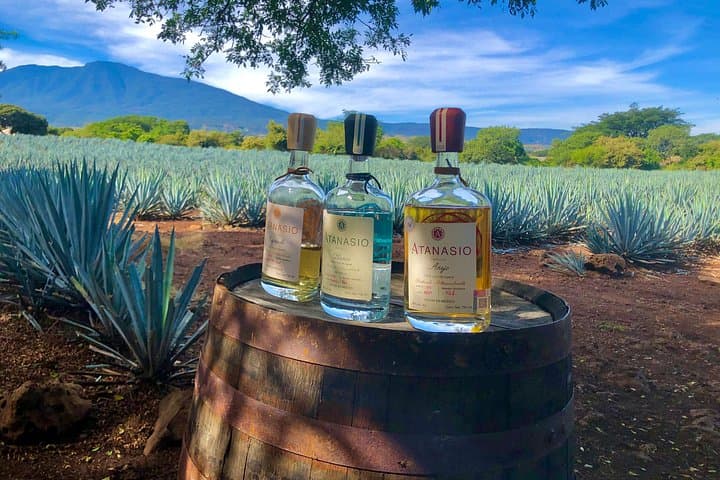 Tequila From Field to Glass: Agave Harvest, Distillery Tour & Tasting in Tequila, Jalisco photo 4