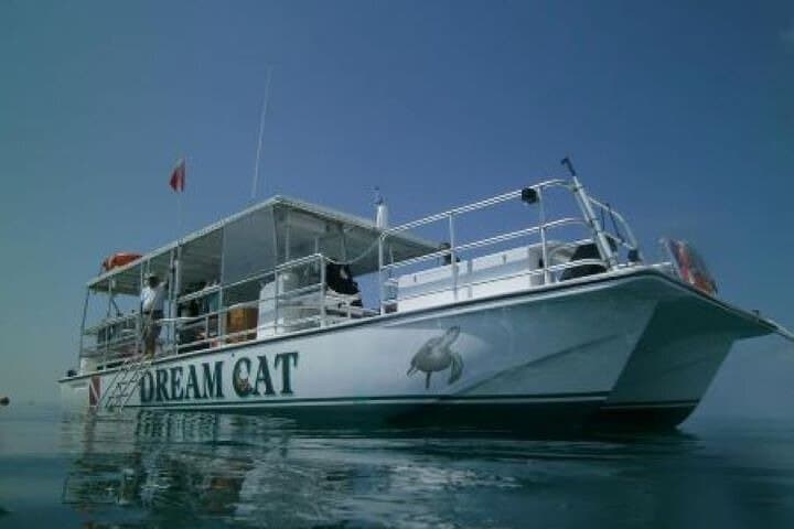 Key West Small-Group Snorkel Adventure: Two Reefs, Warm Water photo 4