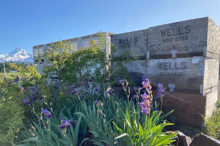 Wyeast Adventure Cycling: Scenic Mountain Rides from Portland to Hood River photo 3