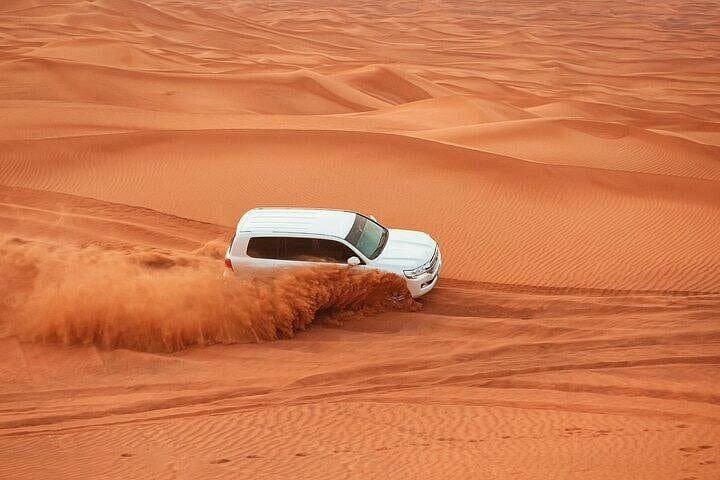 Dubai Desert Drive Adventure: Dune Bashing, Falconry & Starry Dinner (57 Safari) photo 6