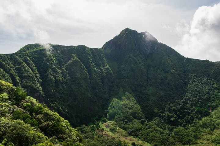 Mount Liamuiga Volcano Hike: Summit Views & Rainforest Trails on St Kitts photo 2