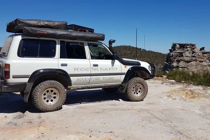 Blue Mountains Full-Day Guided Tour from Katoomba: Scenic Lookouts & Local Lunch