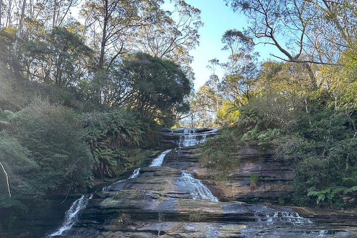 Blue Mountains Full-Day Guided Tour from Katoomba: Scenic Lookouts & Local Lunch photo 5