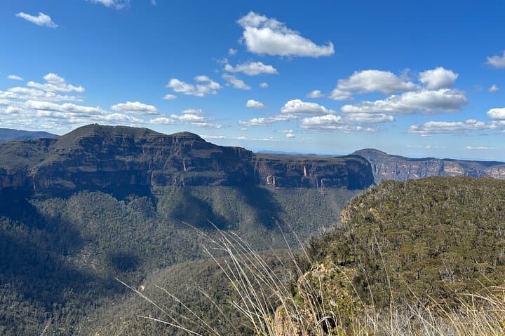 Blue Mountains Full-Day Guided Tour from Katoomba: Scenic Lookouts & Local Lunch photo 6