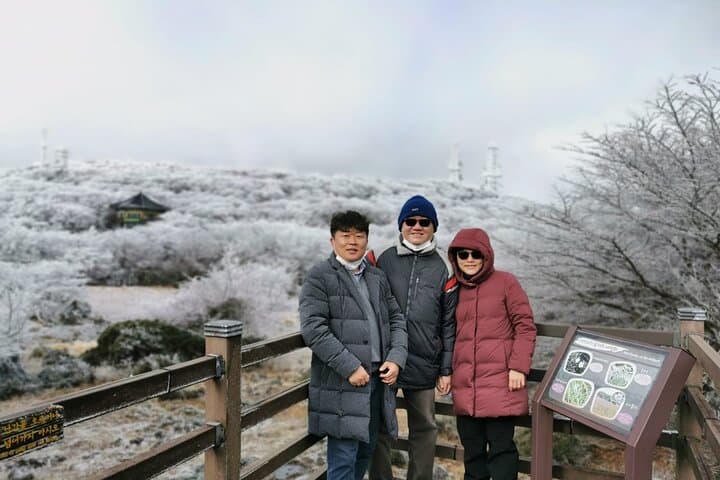 Full-Day Jeju Private Couples Tour: Seongsan Ilchulbong, Jeongbang Falls & Camellia Hill