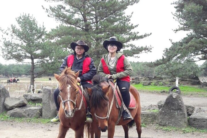 Full-Day Jeju Private Couples Tour: Seongsan Ilchulbong, Jeongbang Falls & Camellia Hill photo 2