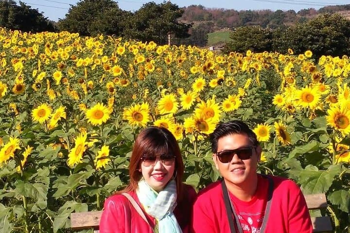 Full-Day Jeju Private Couples Tour: Seongsan Ilchulbong, Jeongbang Falls & Camellia Hill photo 3
