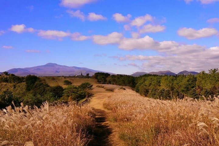 Full-Day Jeju Private Couples Tour: Seongsan Ilchulbong, Jeongbang Falls & Camellia Hill photo 6