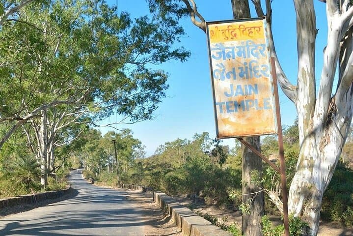 Mount Abu Full-Day Private Sightseeing Tour from Udaipur — Dilwara Temples & Nakki Lake photo 4