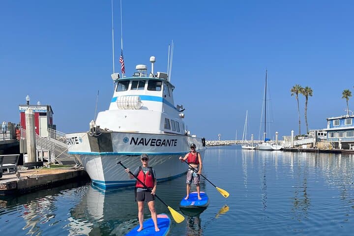 Redondo Beach Stand Up Paddle Board Rentals & Harbor SUP Experience photo 4