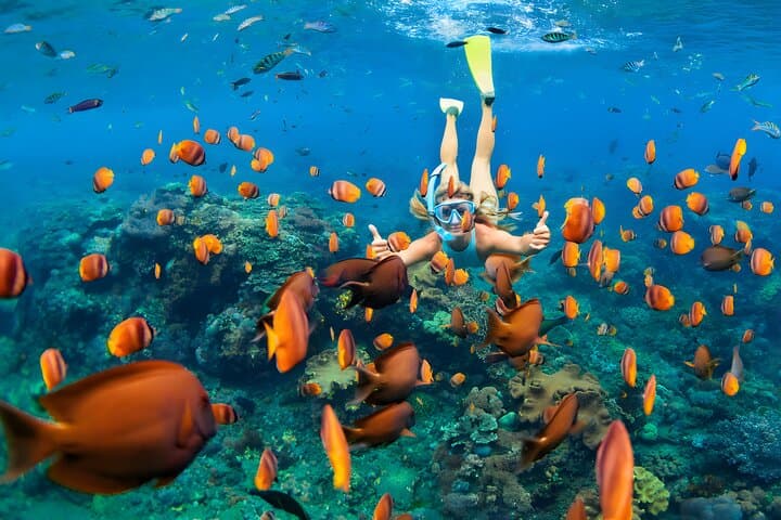 Snorkel Nusa Penida: Mantas, Turtles & Atuh Beach Day Trip from Bali photo 5