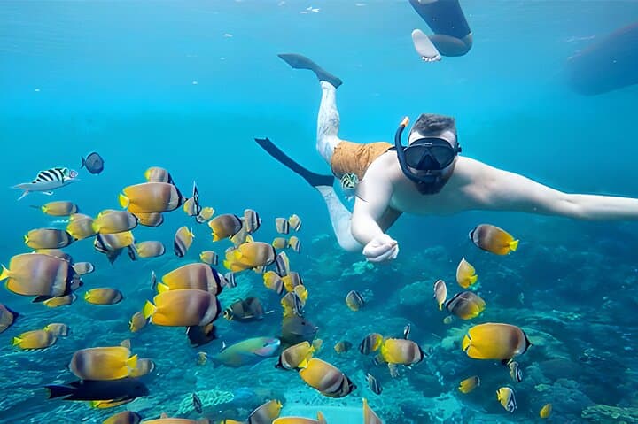 Snorkeling Nusa Penida: Manta Bay, Wall Point & Gamat Bay Guide photo 5