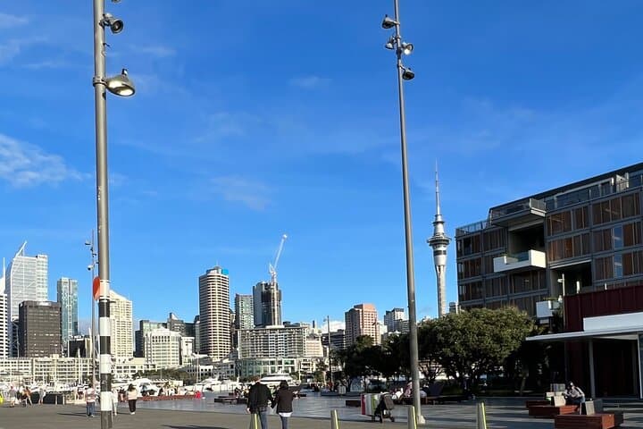 Skyline to Summit: Auckland Private City & Mt Eden Panorama photo 2