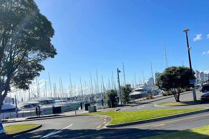 Skyline to Summit: Auckland Private City & Mt Eden Panorama photo 6