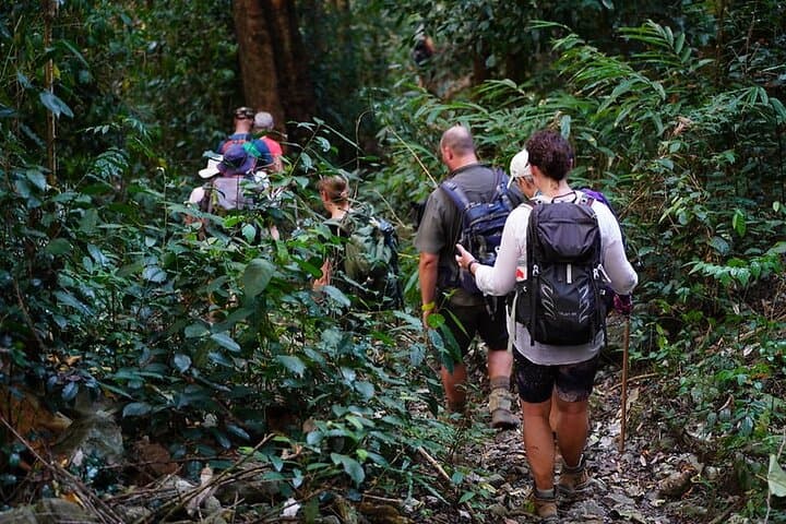 Northern Frontier Adventure: 8-Day Cat Ba Island, Ba Be & Ban Gioc Trek
