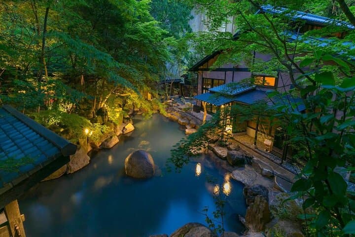 Mt Fuji & Hakone Private Day Tour — Onsen, Lake Ashi, Hakone Open-Air Museum photo 1