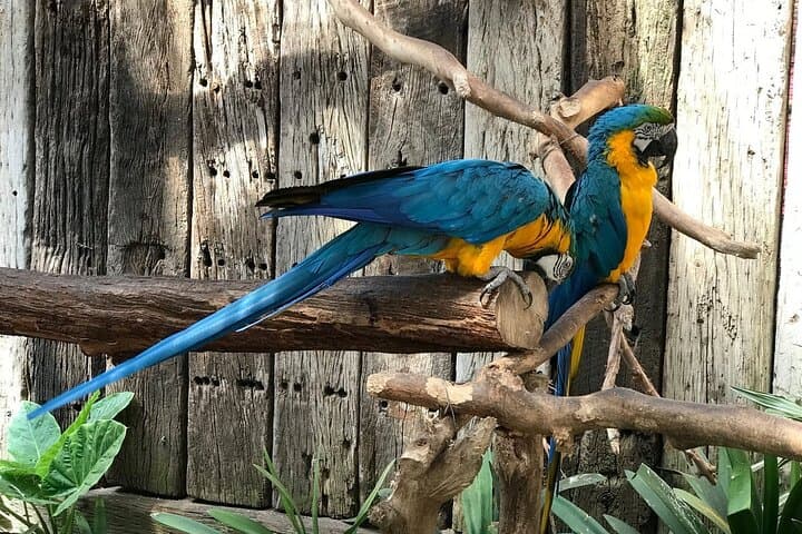 Full-Day Private Cape Town City Tour — Table Mountain, Kirstenbosch & Winelands photo 3