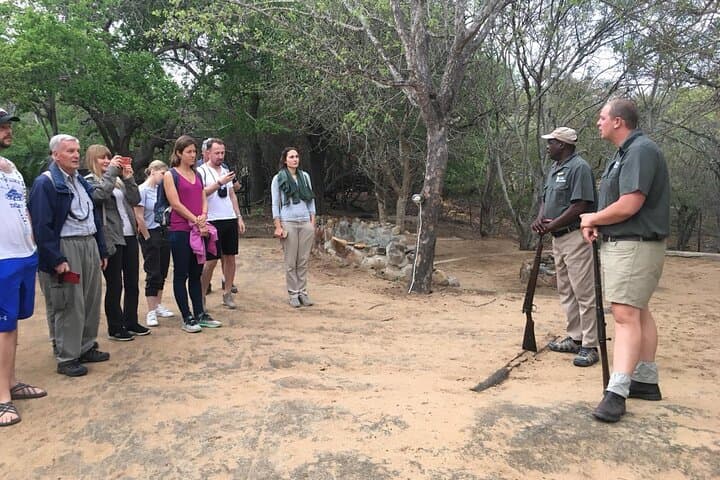 Masango Safari: 4-Day Kruger & Motlala Big Five Experience photo 3