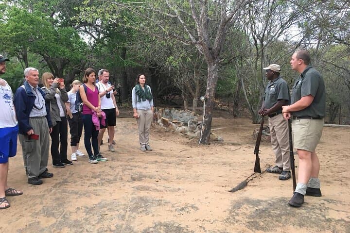 5-Day Masango Safari: Kruger Big Five, Bushwalks & Masango Camp photo 3