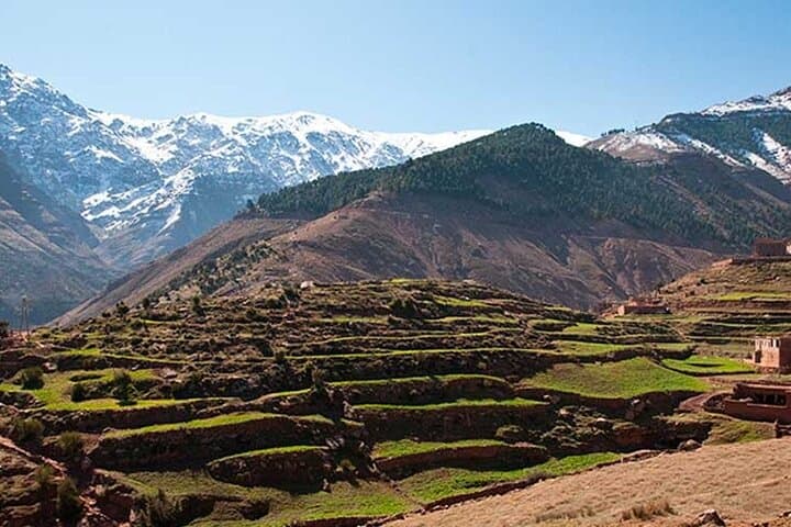 Ourika Valley & Setti Fatma Waterfalls: Full-Day Guided Excursion from Marrakech photo 3