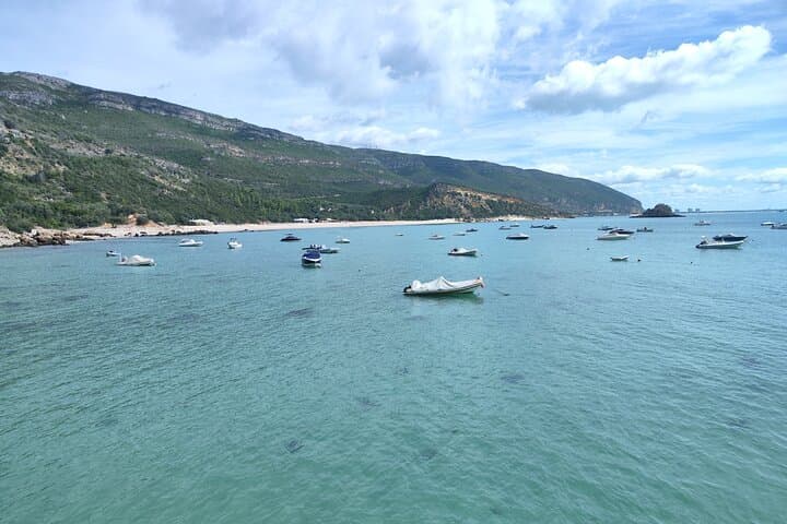 Setúbal Peninsula Day Tour: Arrábida, Sesimbra & Palmela from Lisbon photo 2