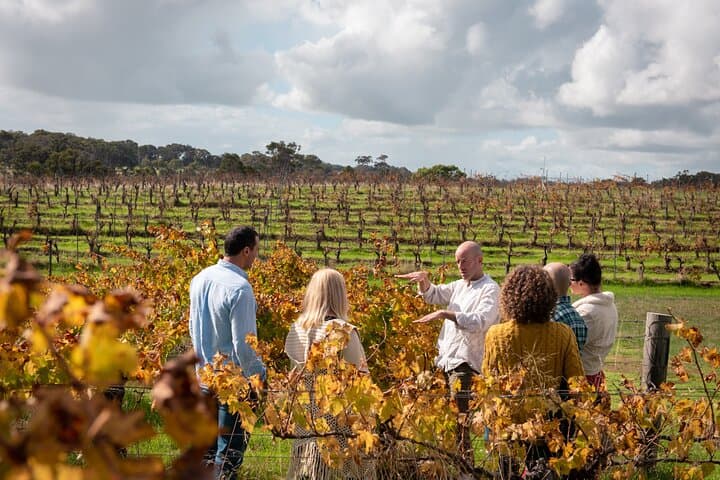 Margaret River Hidden-Gems Wine Tour: Farms, Scones & Boutique Wineries
