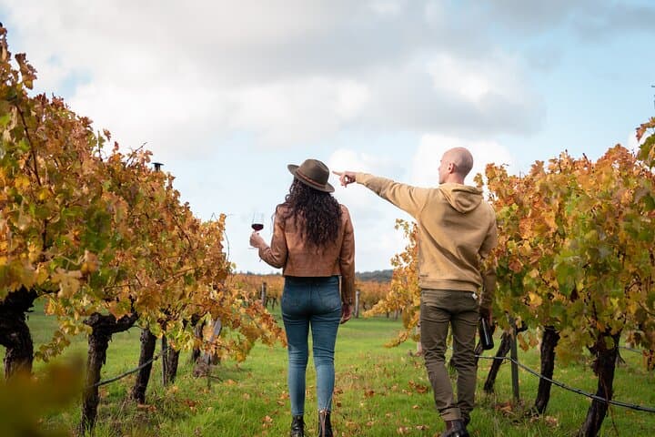 Margaret River Hidden-Gems Wine Tour: Farms, Scones & Boutique Wineries photo 3