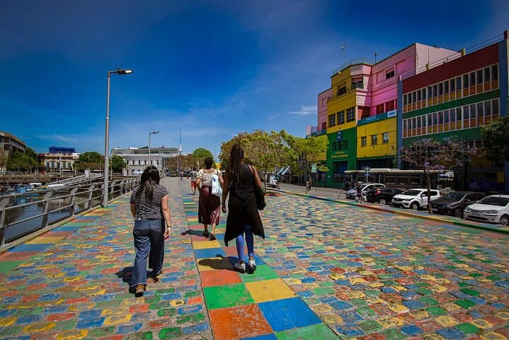 South of the City: Buenos Aires Walking Tour of San Telmo, La Boca & Plaza de Mayo photo 4