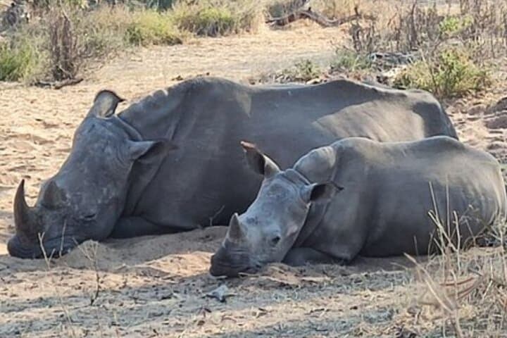 Livingstone Rhino Walking Safari: Close-Up Walks in Mosi-oa-Tunya National Park