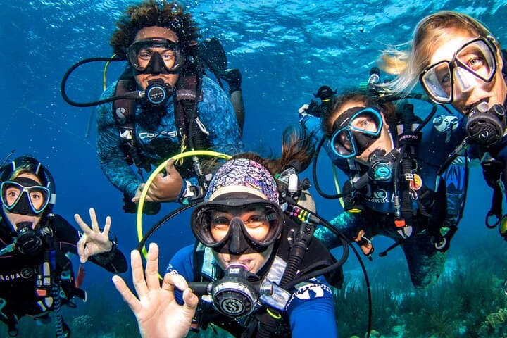 Unlimited Diving in Bonaire: 6-Day Tank Rental with Dive Friends photo 1
