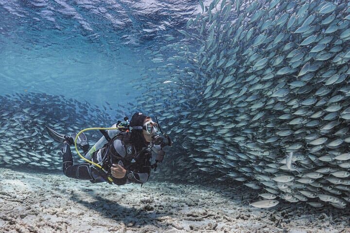 Unlimited Diving in Bonaire: 6-Day Tank Rental with Dive Friends photo 3