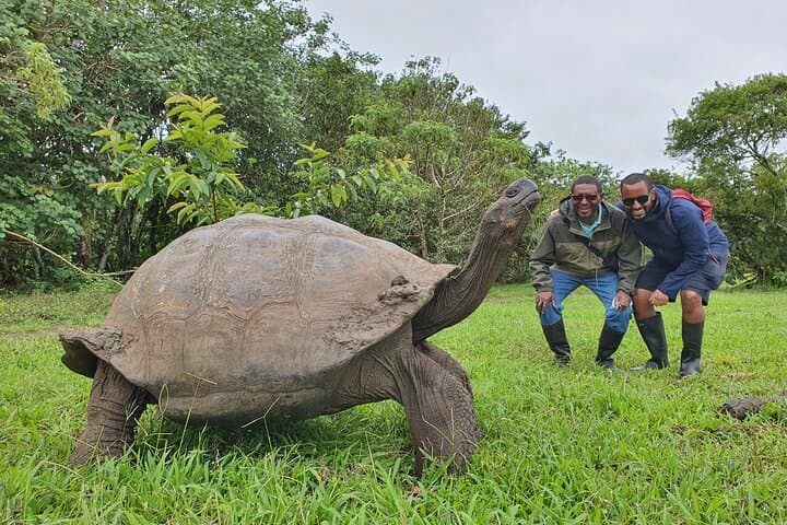 Santa Cruz Highlands Tour — Tortoise Ranch, Lava Tunnel & Los Gemelos