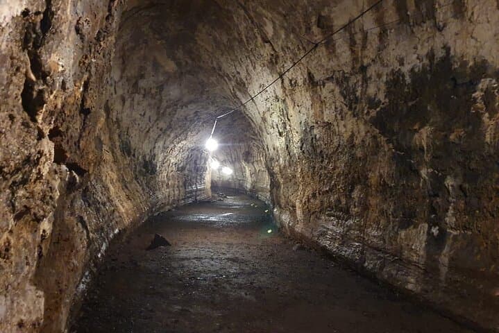 Santa Cruz Highlands Tour — Tortoise Ranch, Lava Tunnel & Los Gemelos photo 4