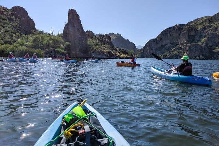 Kayak and Paddleboard Saguaro Lake: Guided 2.5-Hour Desert Water Adventure photo 3