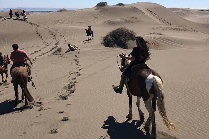 Ride Ritoque: Private Horseback Adventure on Sea Sand Dunes with BBQ from Valparaiso